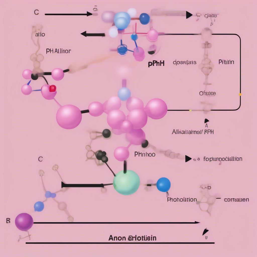 Cơ chế đổi màu của phenolphtalein