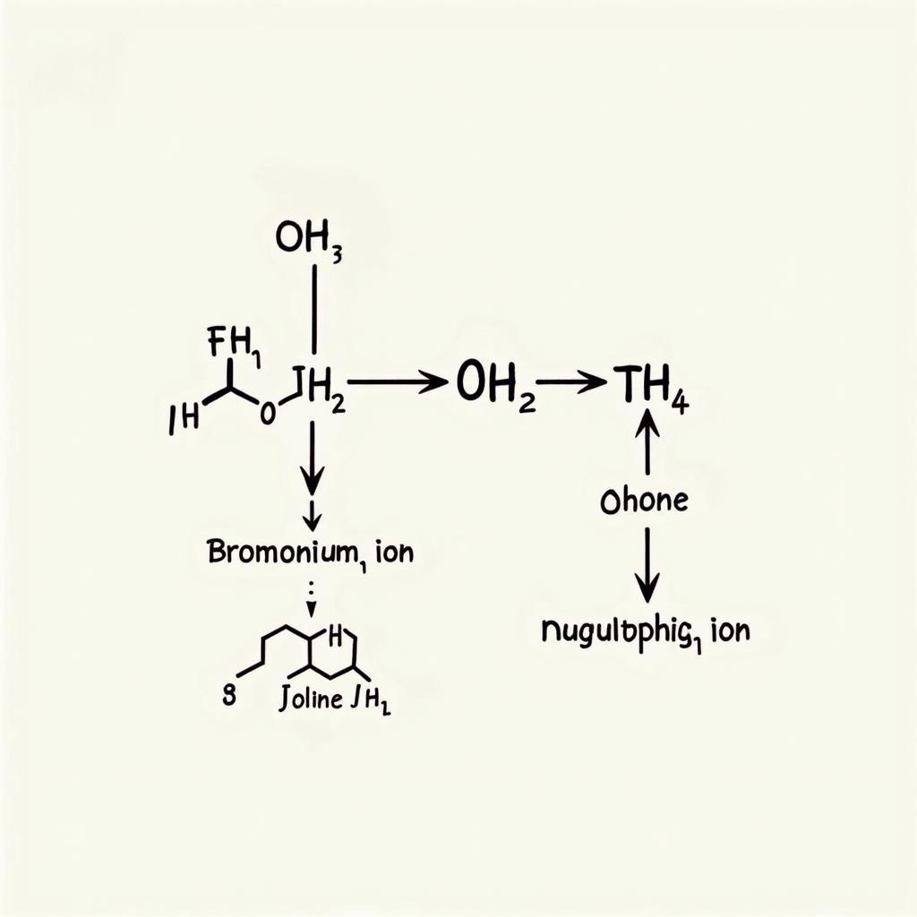 Cơ Chế Phản Ứng Cộng Brom