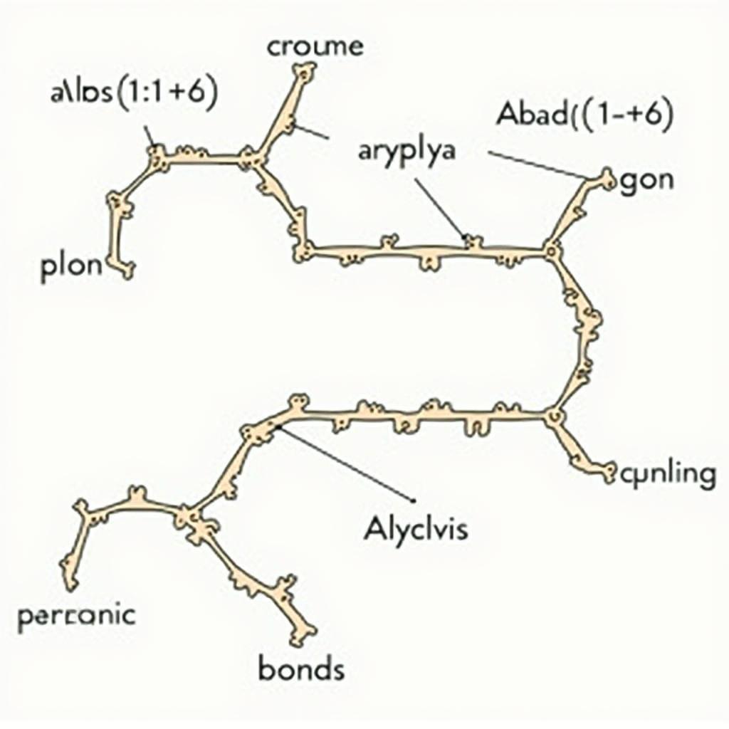 Công Thức Cấu Tạo Tinh Bột: Chi Tiết Amylopectin