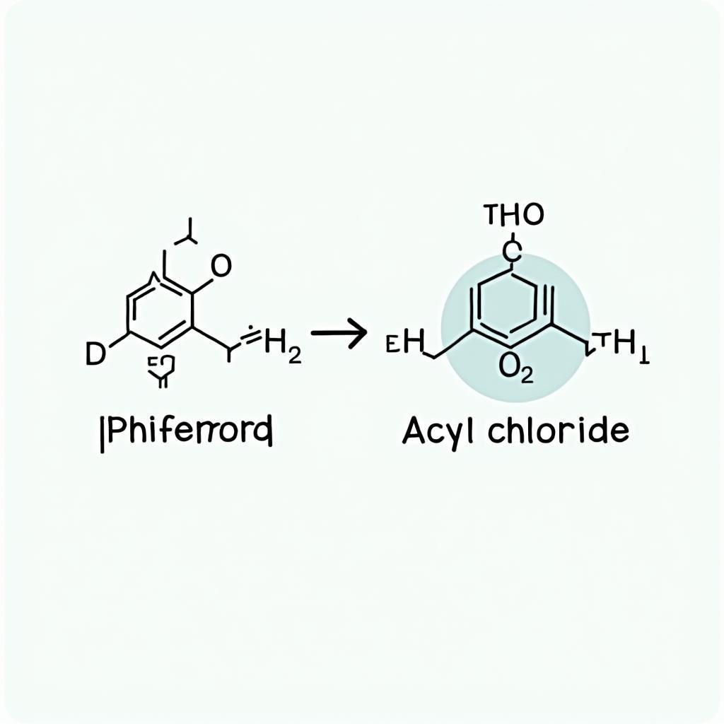 Điều chế este của phenol