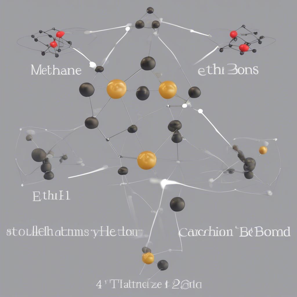 K Hoa Tri May Của Carbon