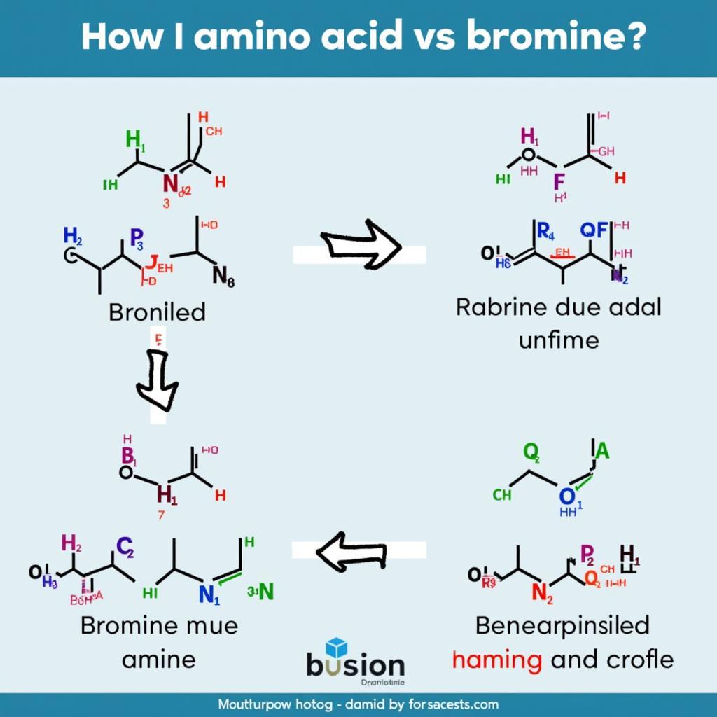 Kết luận về amino axit và brom