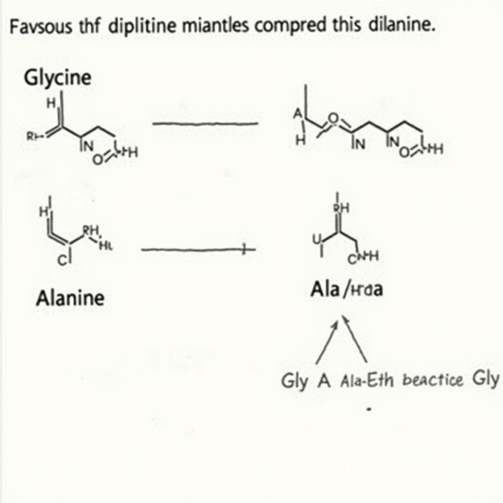 Số đipeptit tạo thành từ Glyxin và Alanin