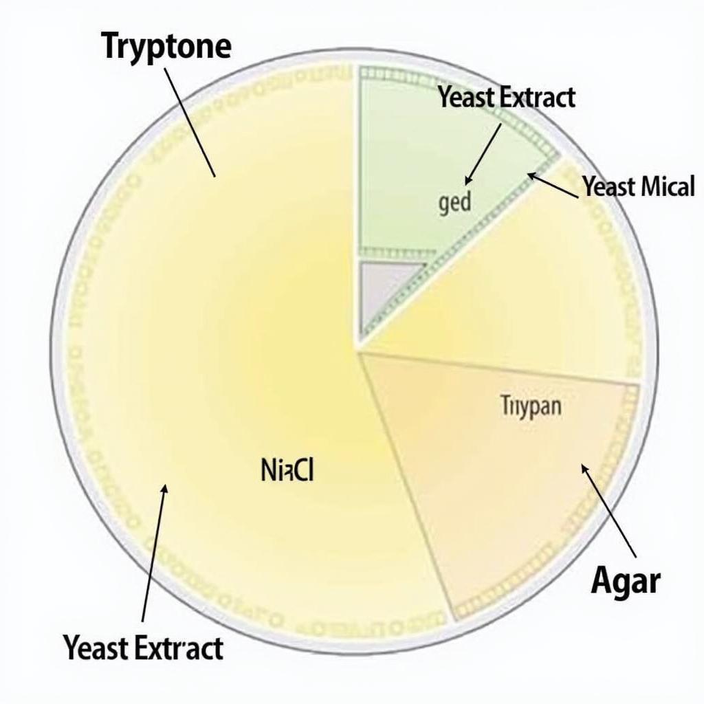 Thành phần môi trường LB Agar