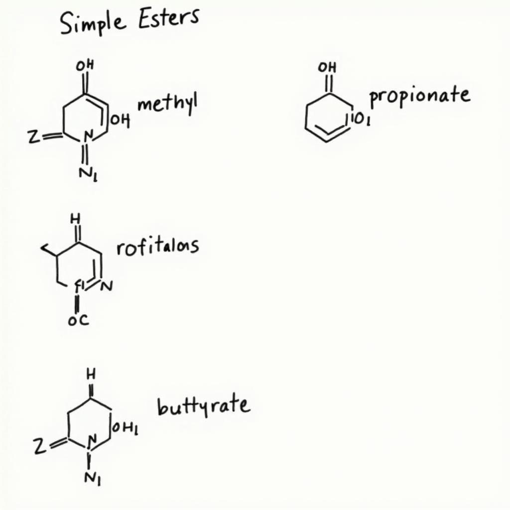 Examples of Simple Ester Nomenclature