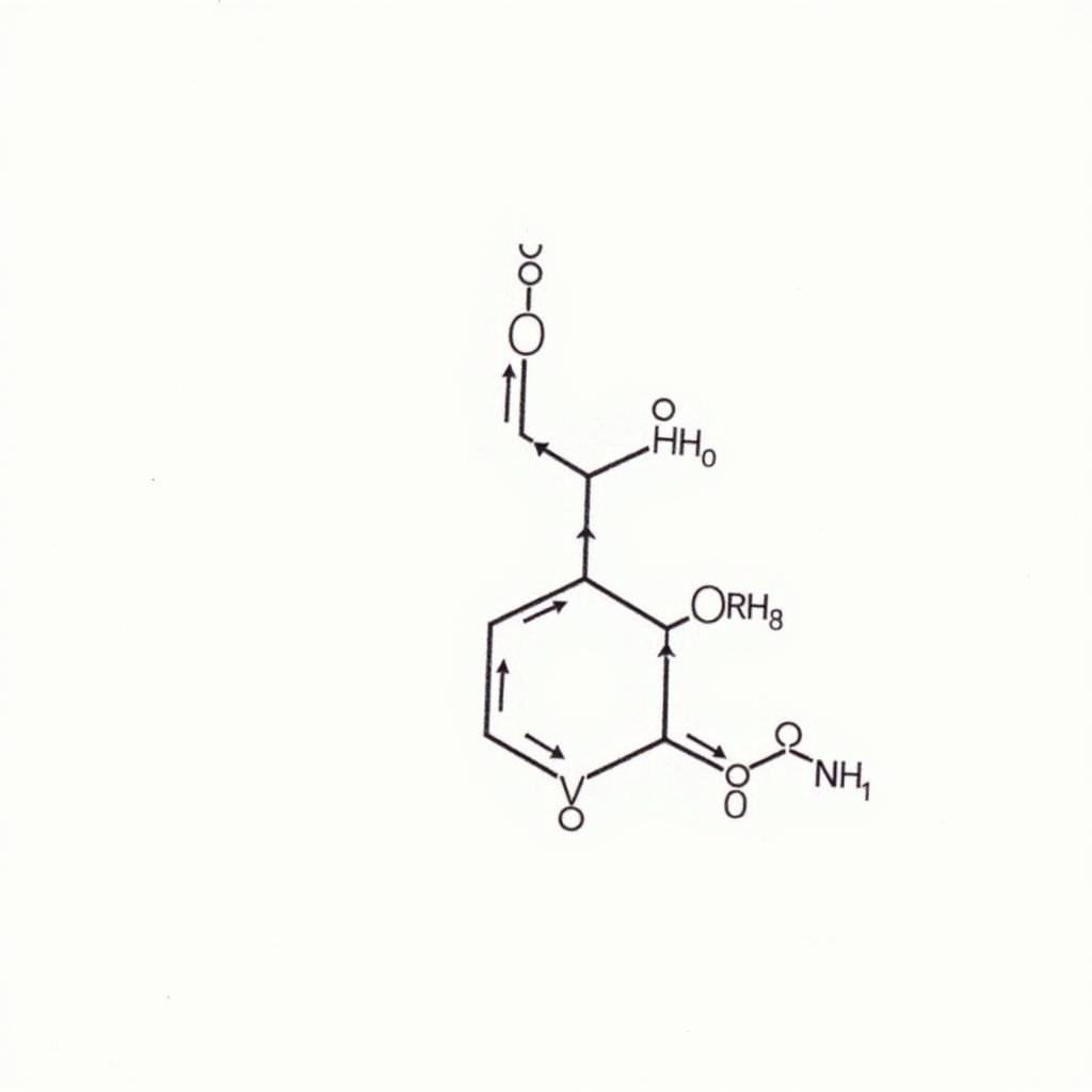 Cấu trúc phân tử của Tropine