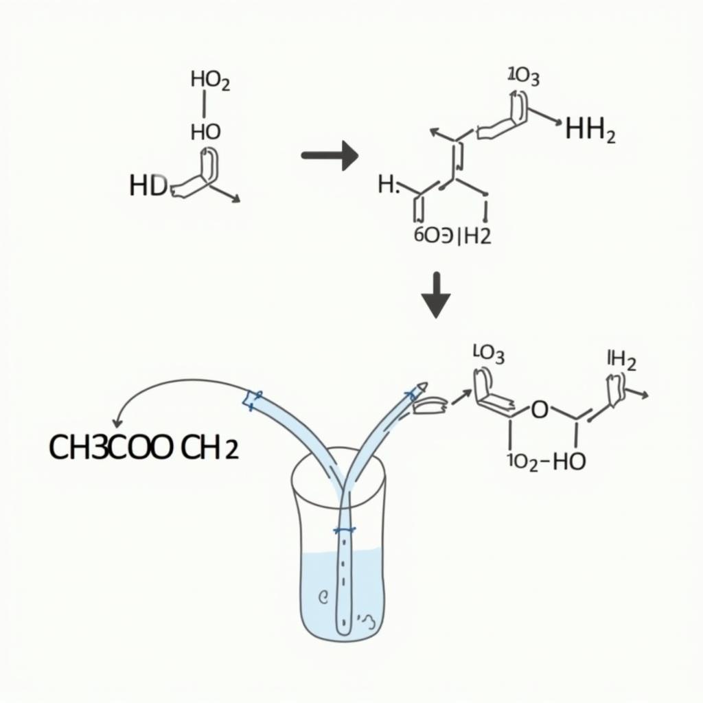 Cơ chế phản ứng thủy phân CH3COOCH CH2 H2O