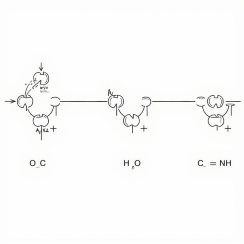 Cơ chế phản ứng xà phòng hóa metyl axetat