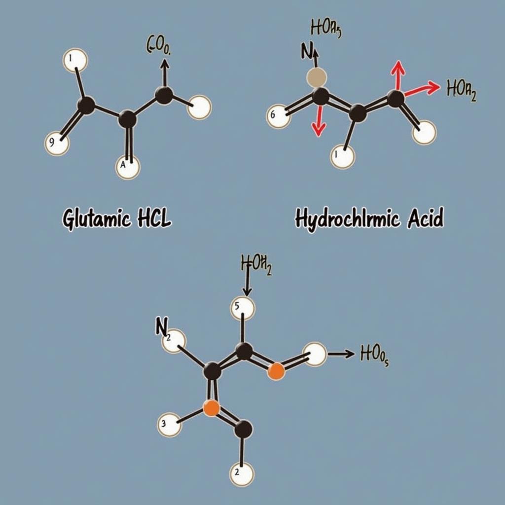 Glutamic HCL Molecular Structure