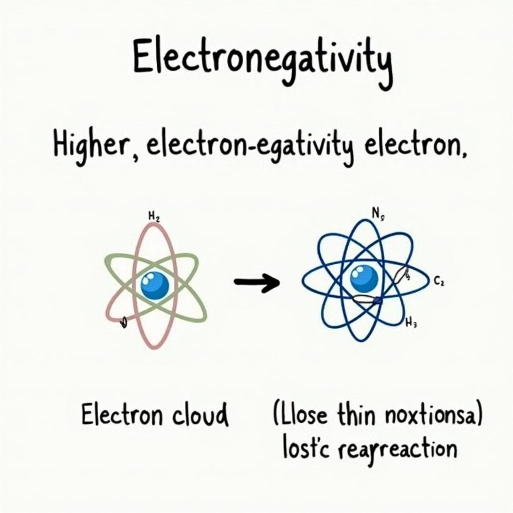 What is Electronegativity?