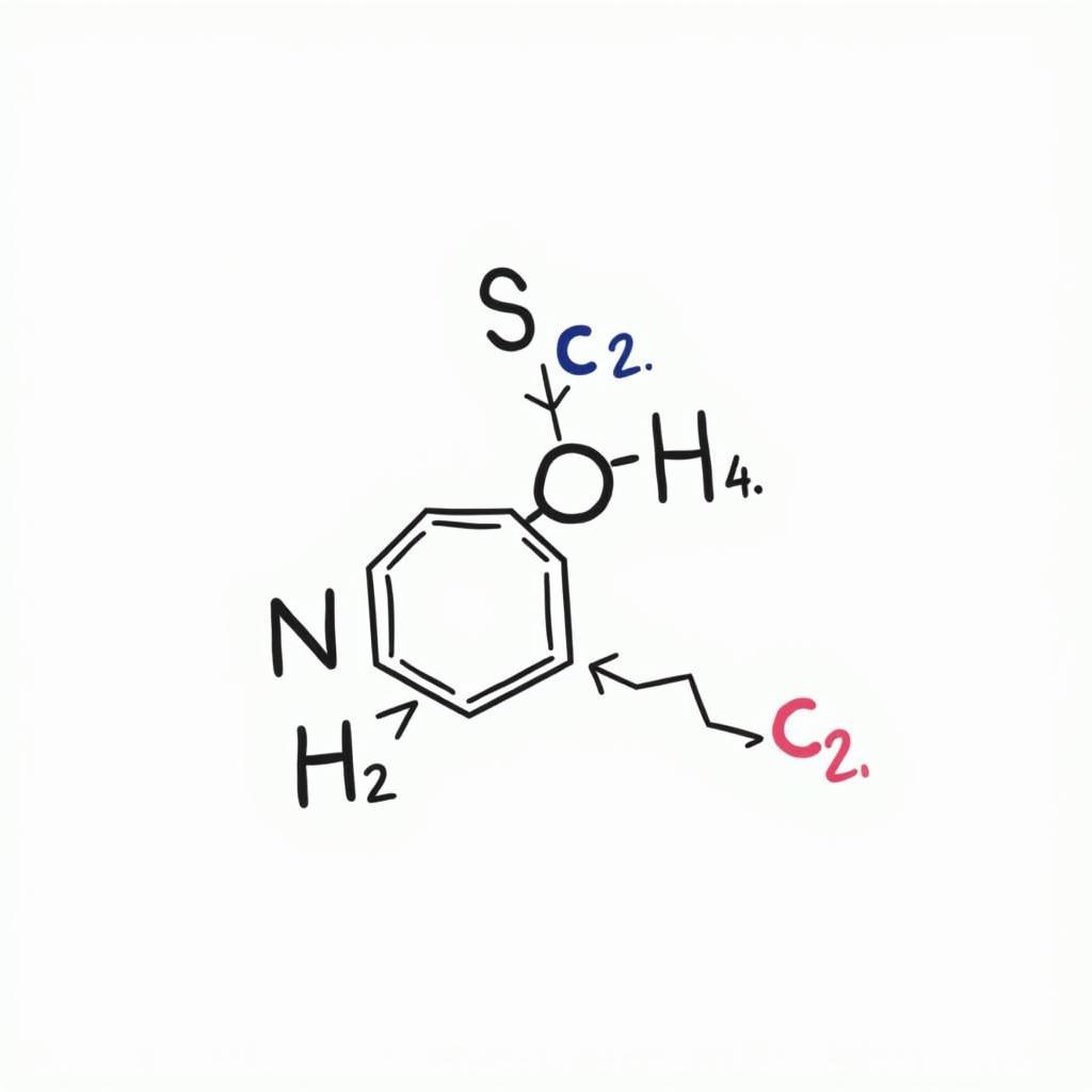 Cấu trúc phân tử của SCl2