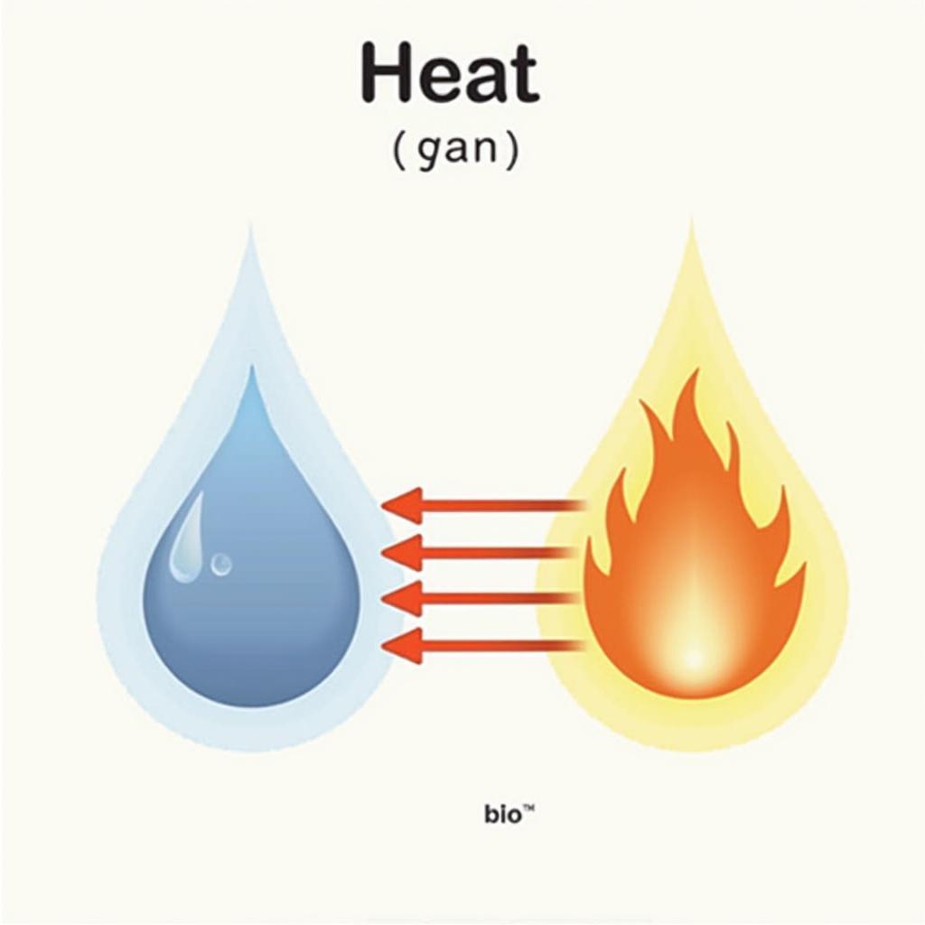 Nhiệt lượng truyền nhiệt