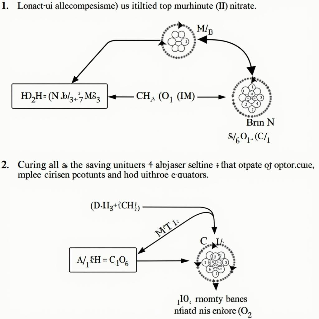 Phân hủy nhiệt Hg(NO3)2