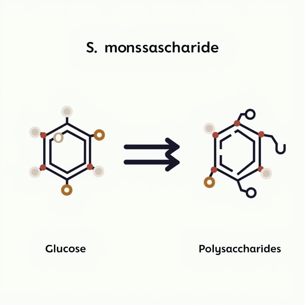 Phân loại Glucozo