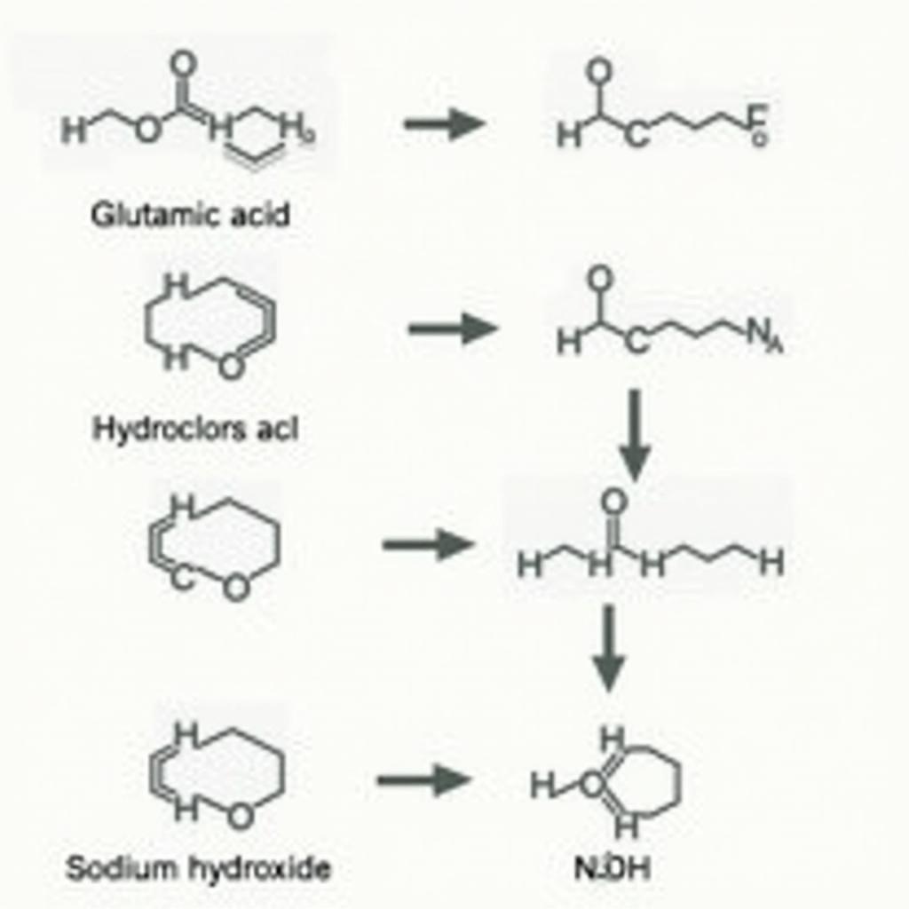 Phản ứng giữa axit glutamic, HCl và NaOH