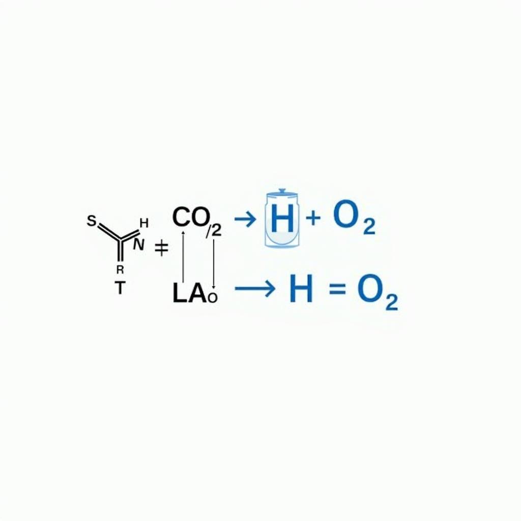 Phản ứng của CO2 với nước