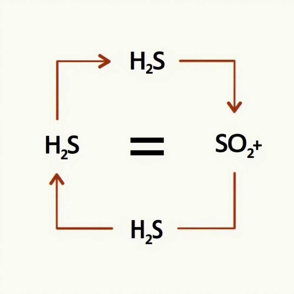 Phản ứng giữa H2S và H2SO4 đặc nóng