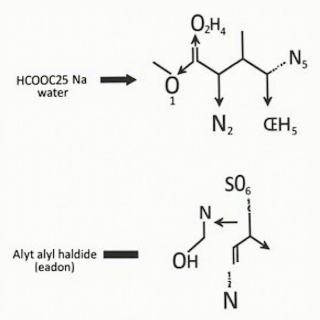 Phản ứng của HCOOC2H5 Na