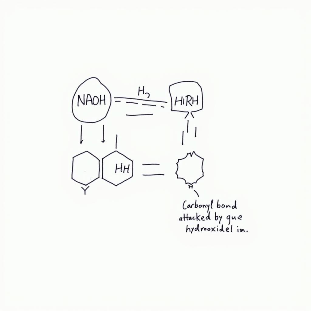 Phản ứng Peptit NaOH