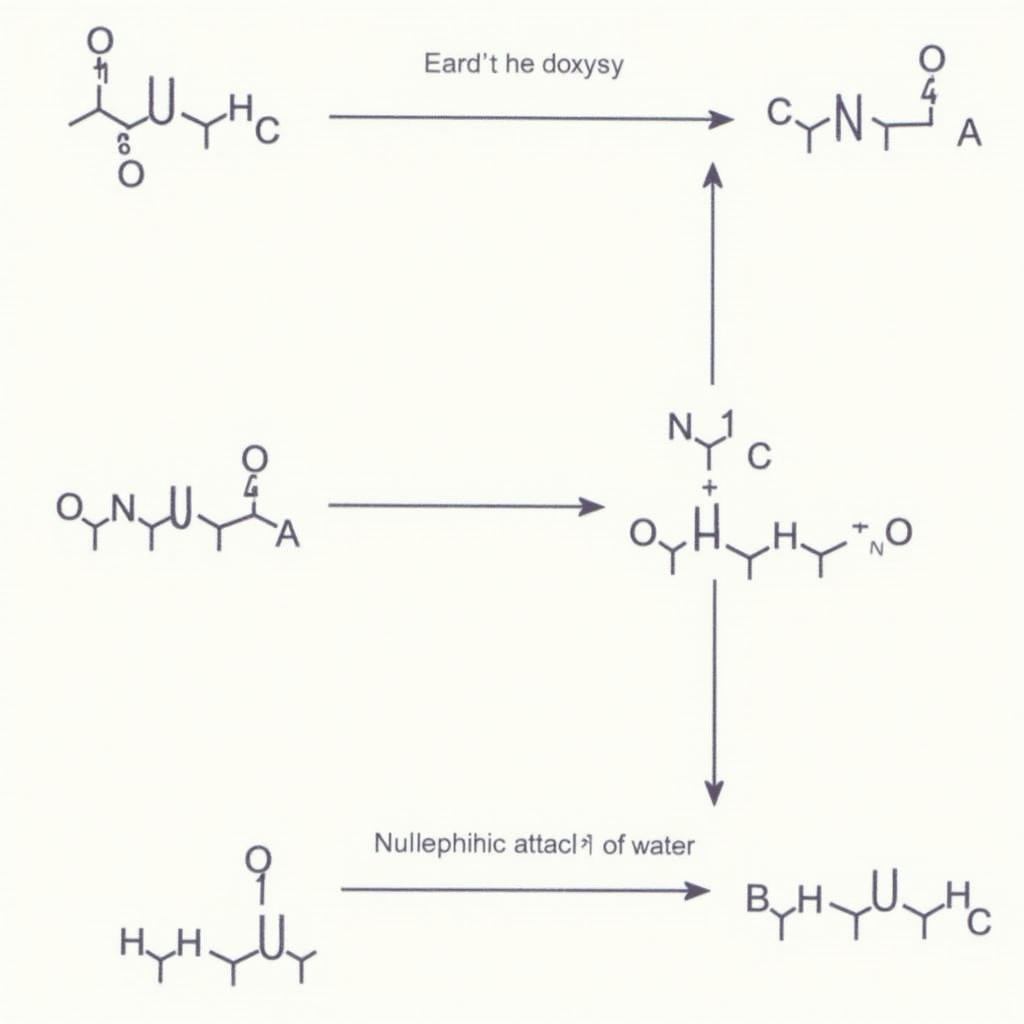 Phản ứng Thủy phân Este với HCl