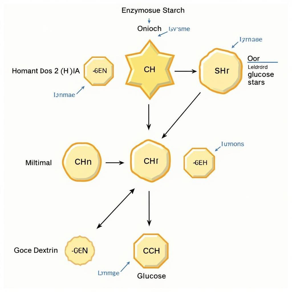 Thủy phân tinh bột bằng enzyme