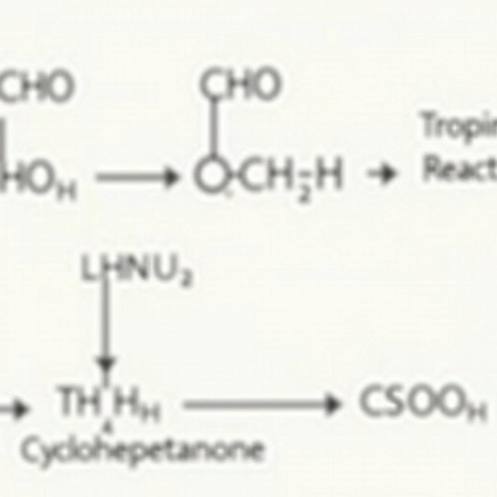 Tổng hợp Tropine trong phòng thí nghiệm