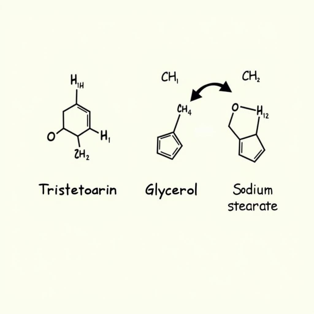 Cơ chế phản ứng xà phòng hóa Tristearin